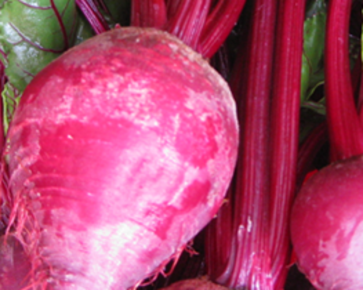 Beets