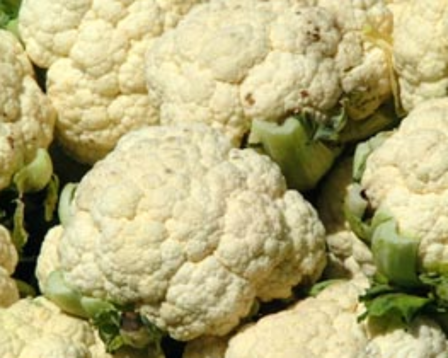 Cauliflower