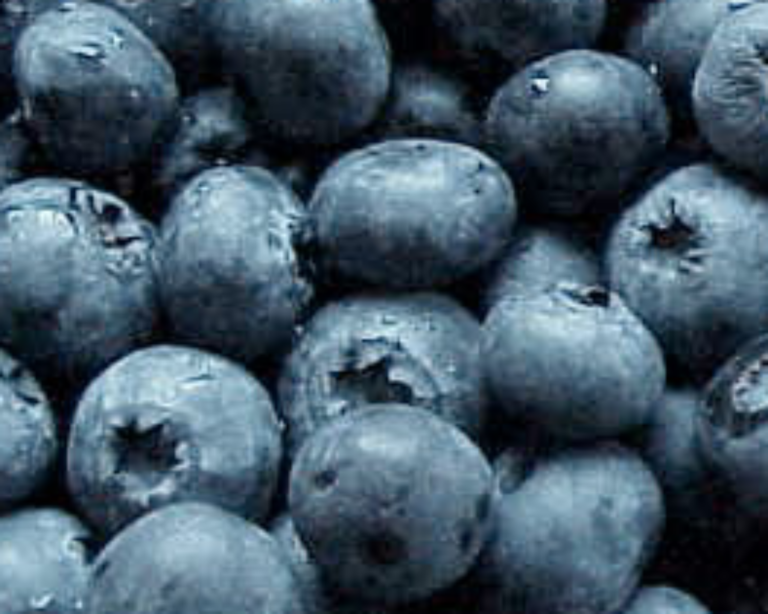 blueberries