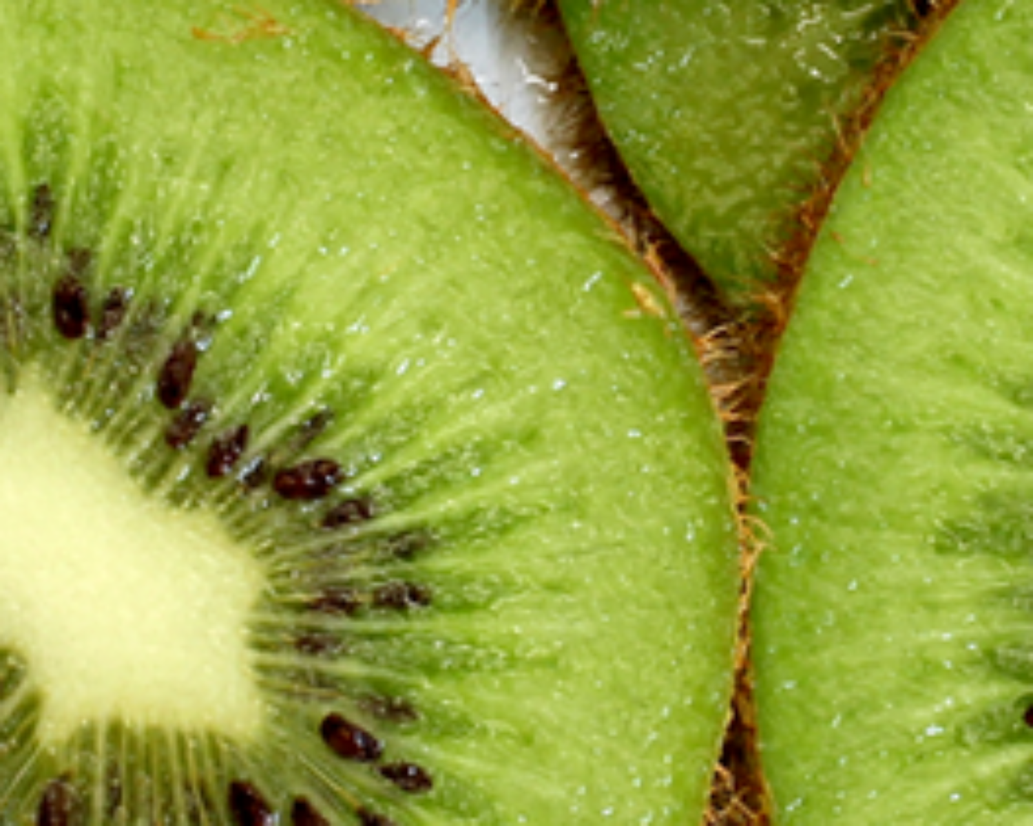 kiwi