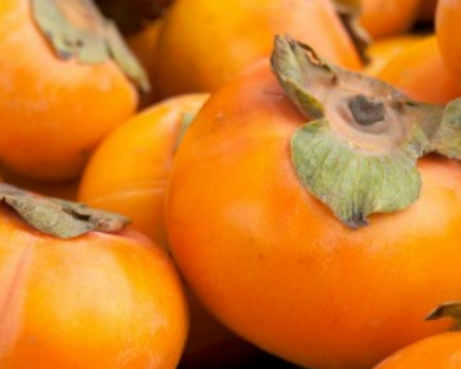 persimmons