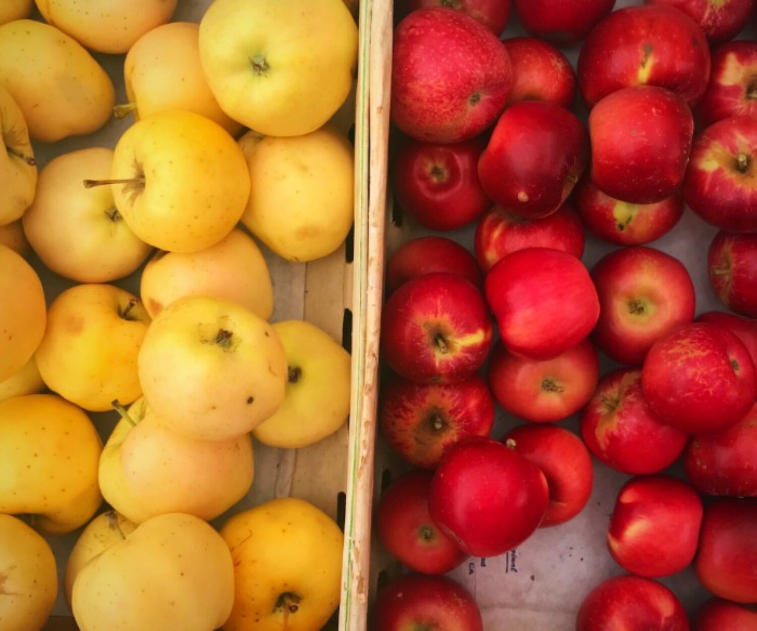 Green Cedar Farm 497bc982 ba33 42f1 b391 37e31093fdd3