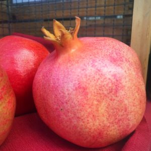 Pomegranates eaf1f13b 013c 4ade 84be d30e37b780f5