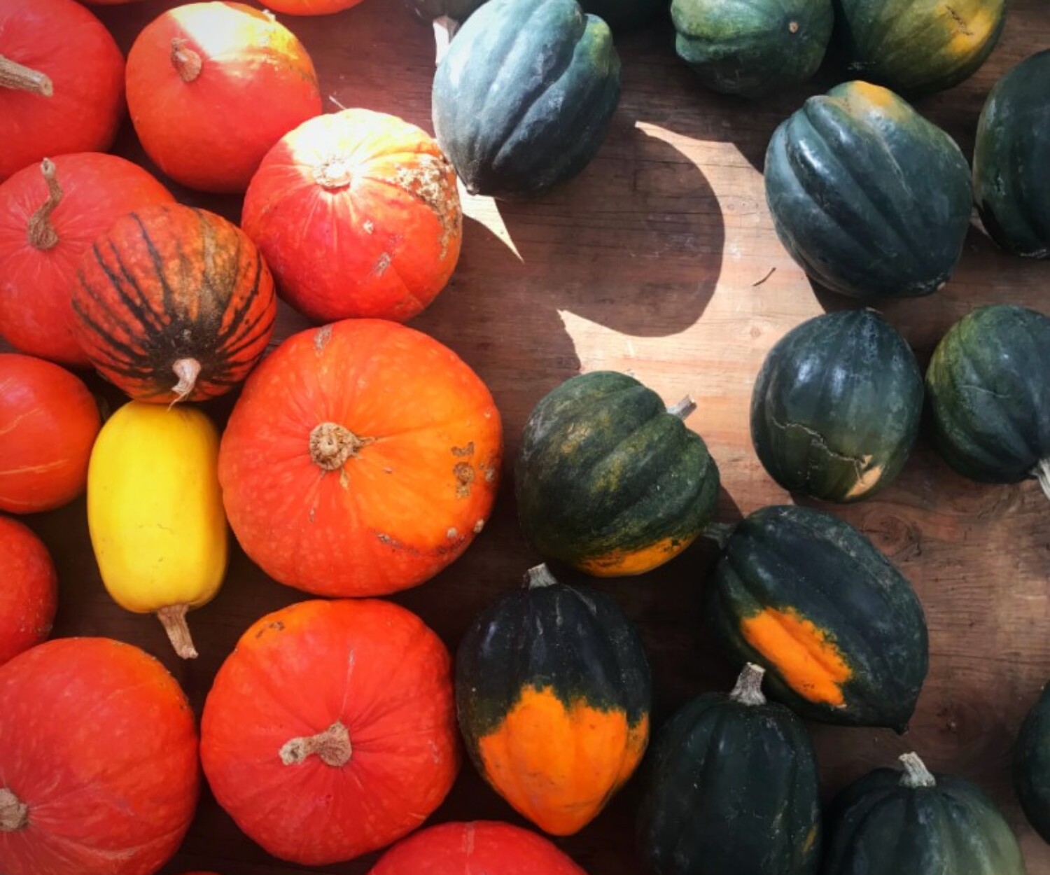 Squash a 722ad1f1 54e3 4bfa ac0c 88d249ccf468