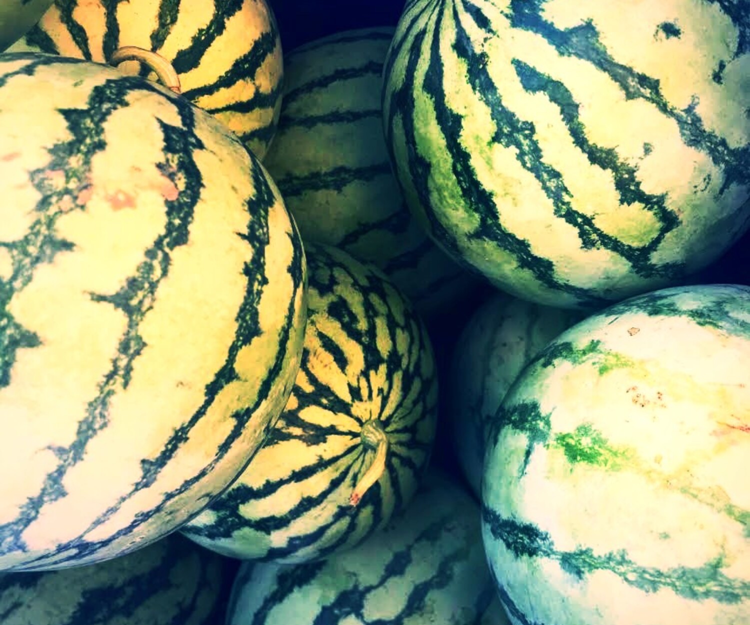 325985d3 48c4 417a a3f7 3d386abd030f