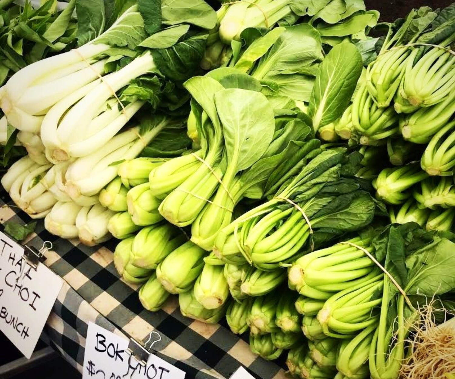 6615faae 8550 4f37 9215 be297f083593