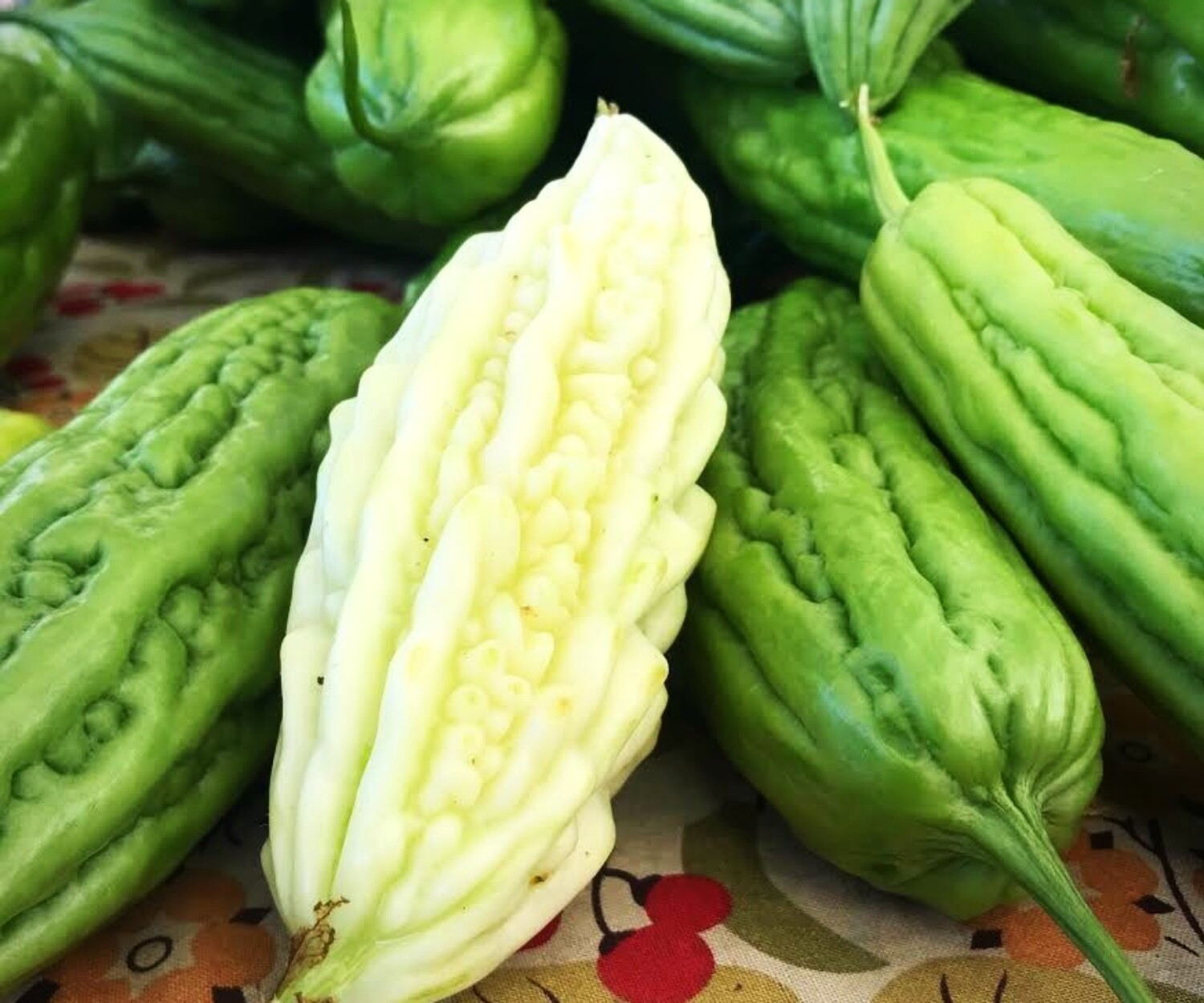 e75b0c90 6a1d 4078 a6cb 12f81c448a6b