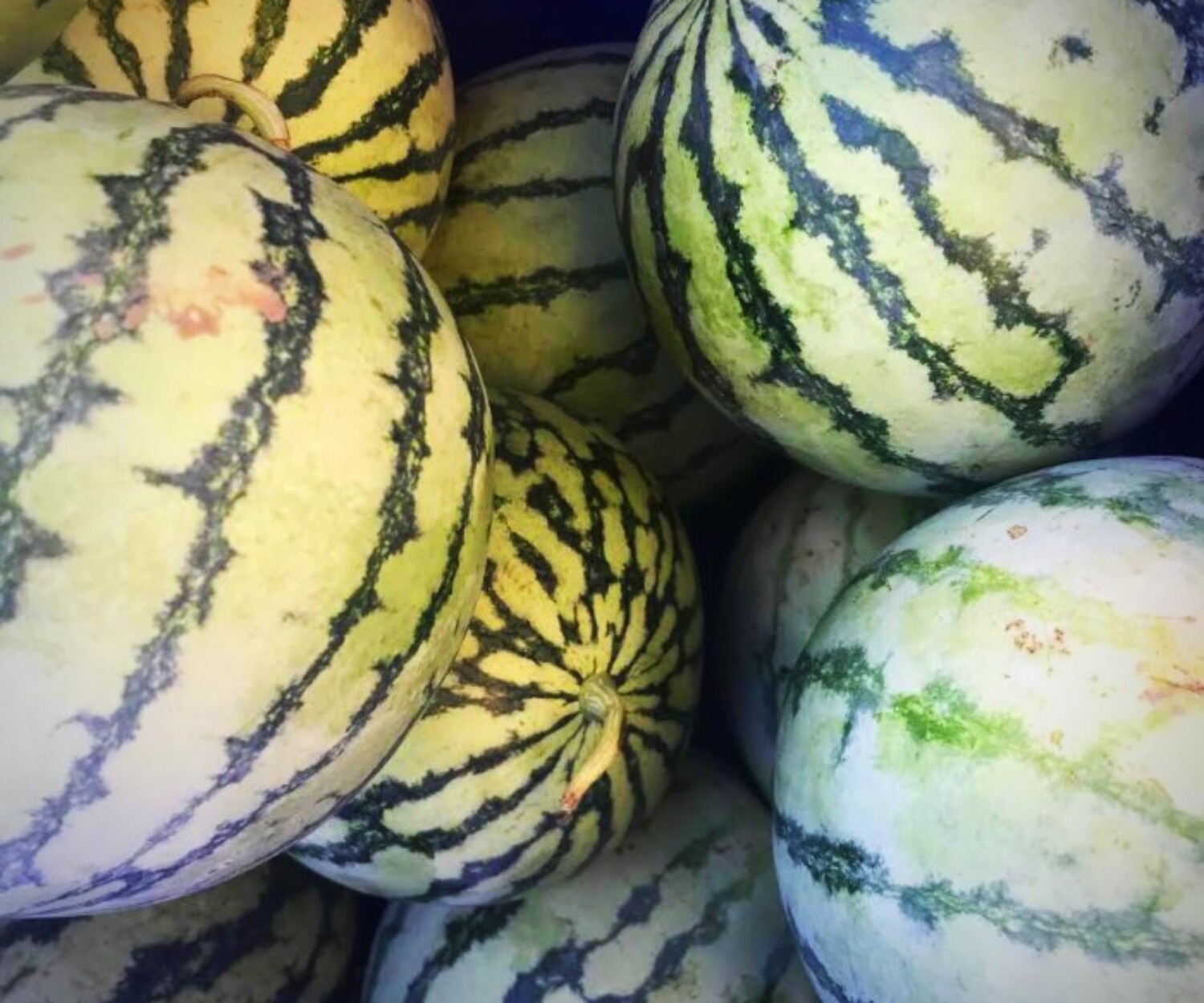 3758965d 96ba 44c6 80ed f65ea6e43aa5