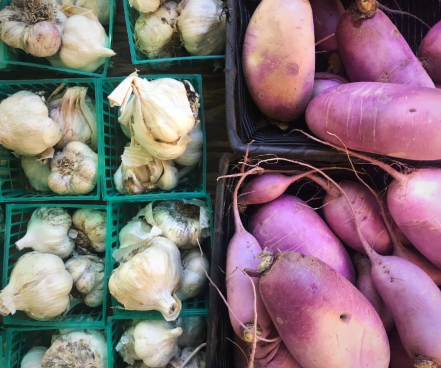 Pyramid Farms 7ac1ec82 90eb 46cf 83d0 4233251065c4