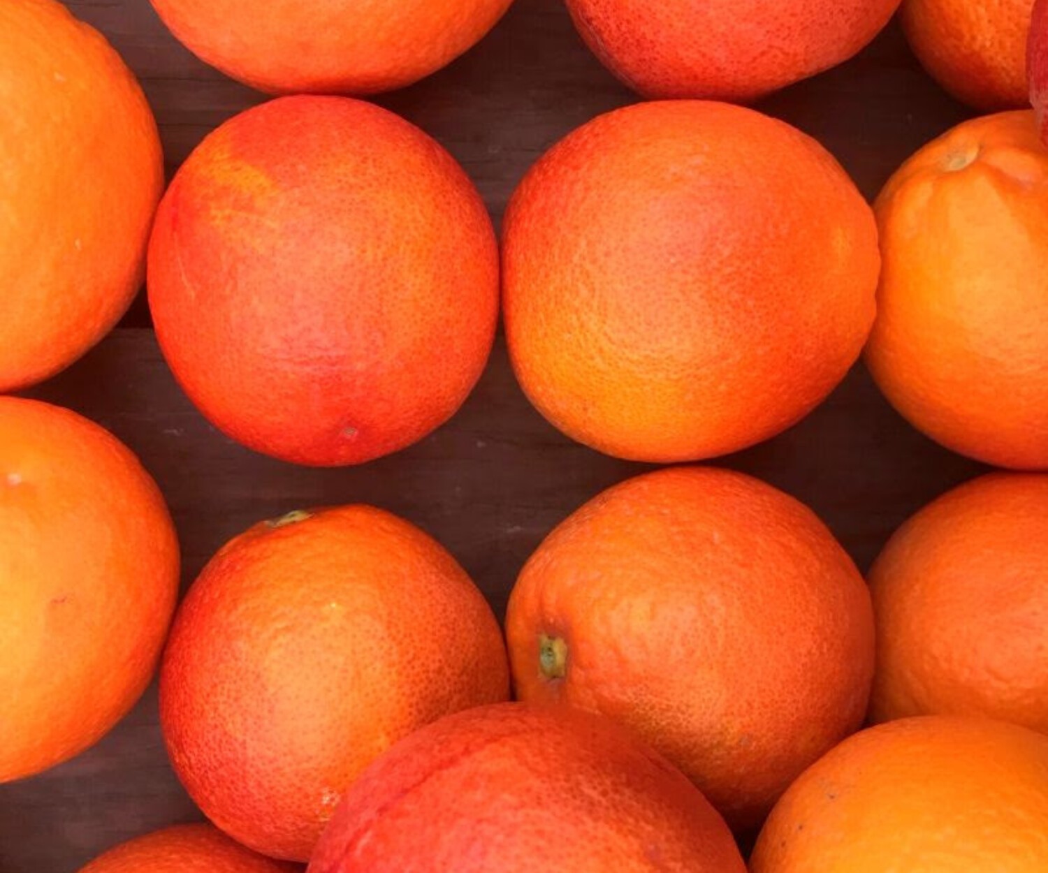 thecitruspeoplefeatured