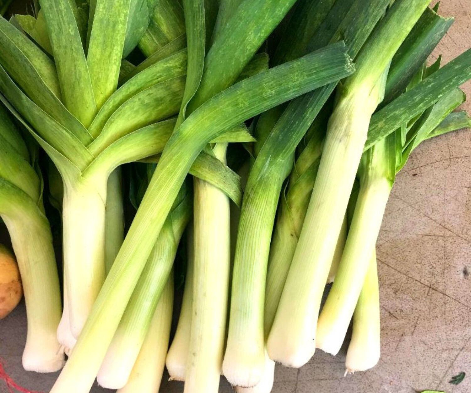 1leeks