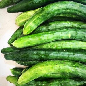 cucumber5