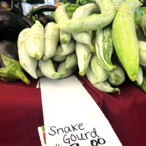 1snakegourd