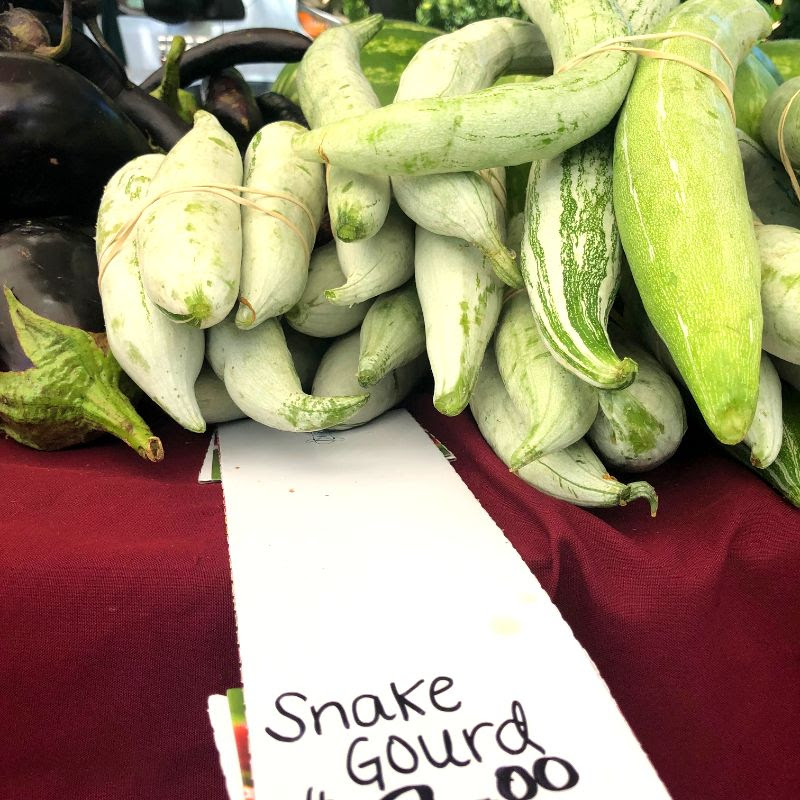 1snakegourd