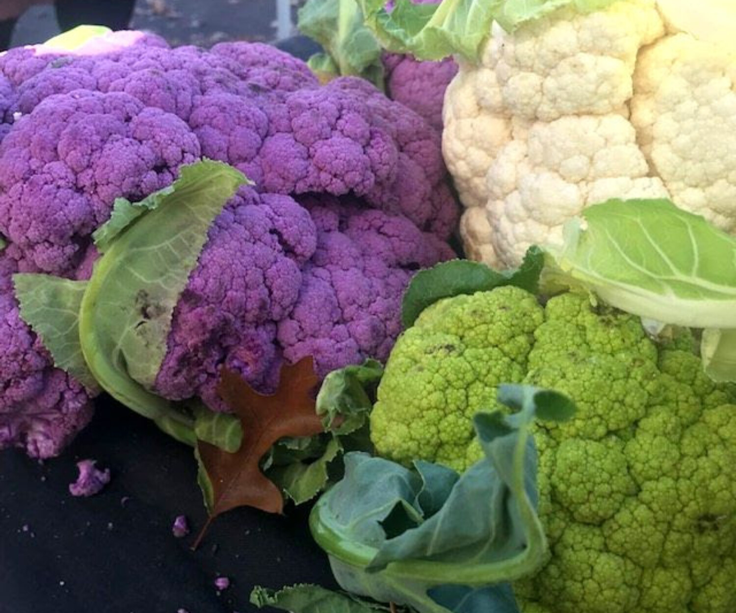 cauliflower1