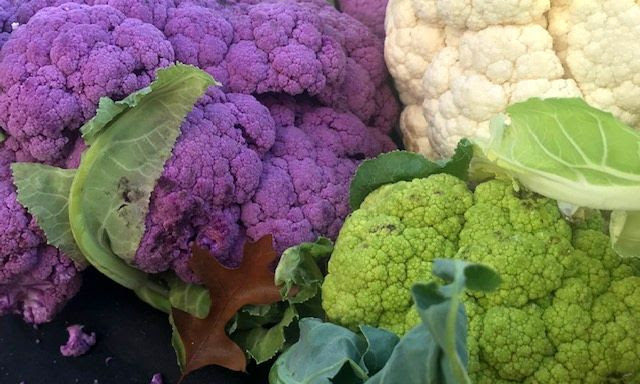 cauliflower1