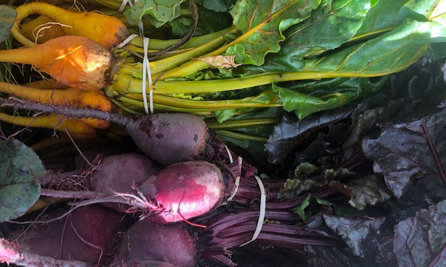 beets1