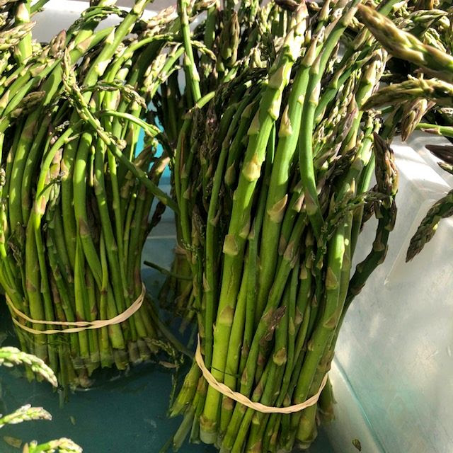 Produce Highlight: Asparagus is Back! - Chico Certified Farmers Market