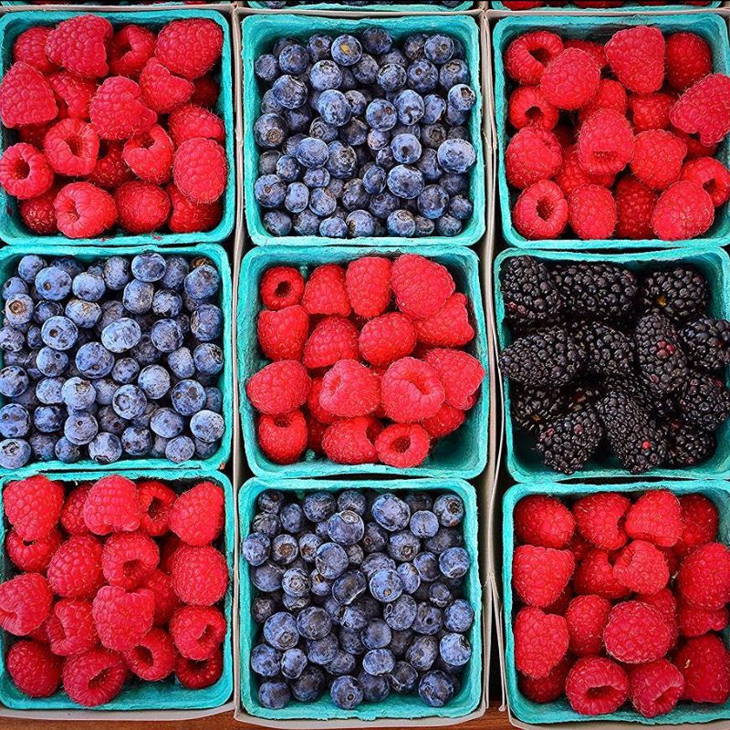 The Berry Best: Summer Berries Are Here! - Chico Certified Farmers