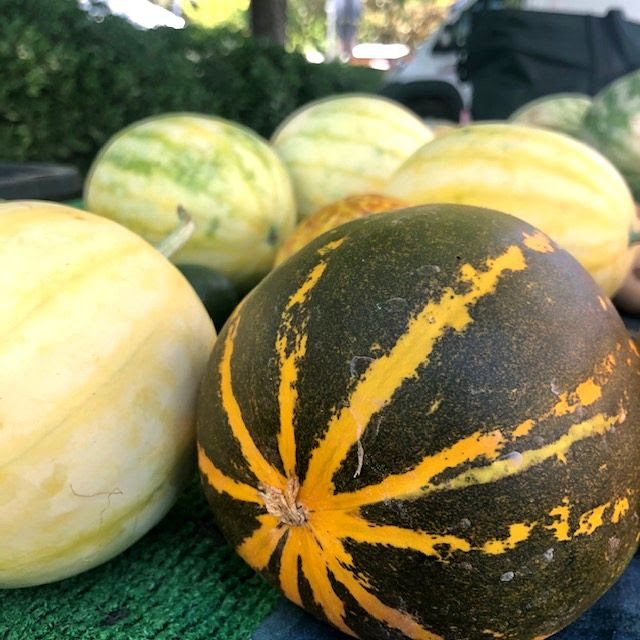 Orange Flesh Honeydew Melons — Melissas Produce