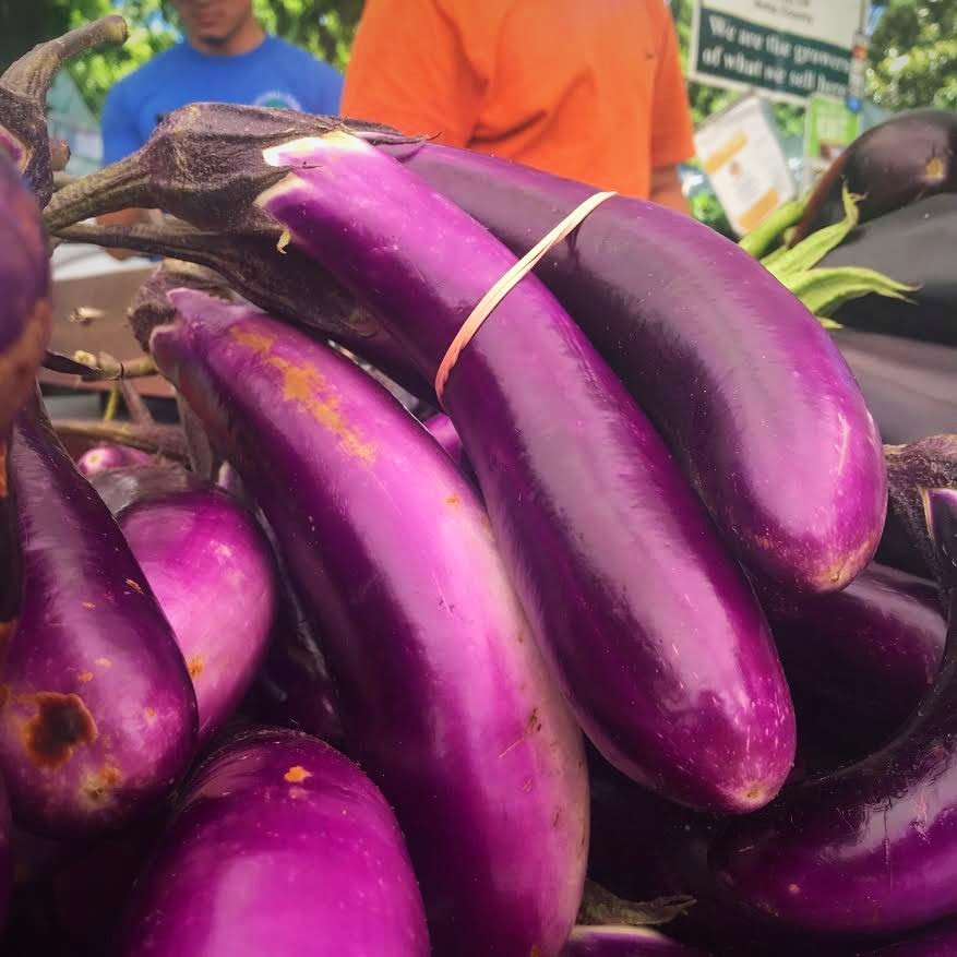 Produce Highlight Eggplants Chico Certified Farmers Market 