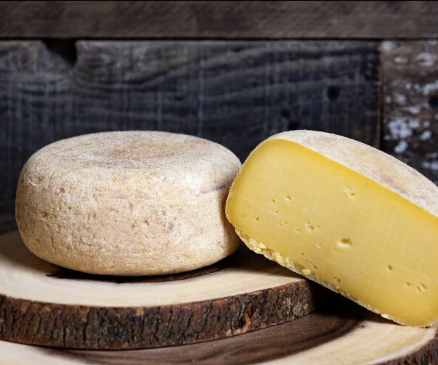 Pedrozoa2d91611 e114 45ba af10 7e8ffb605c27