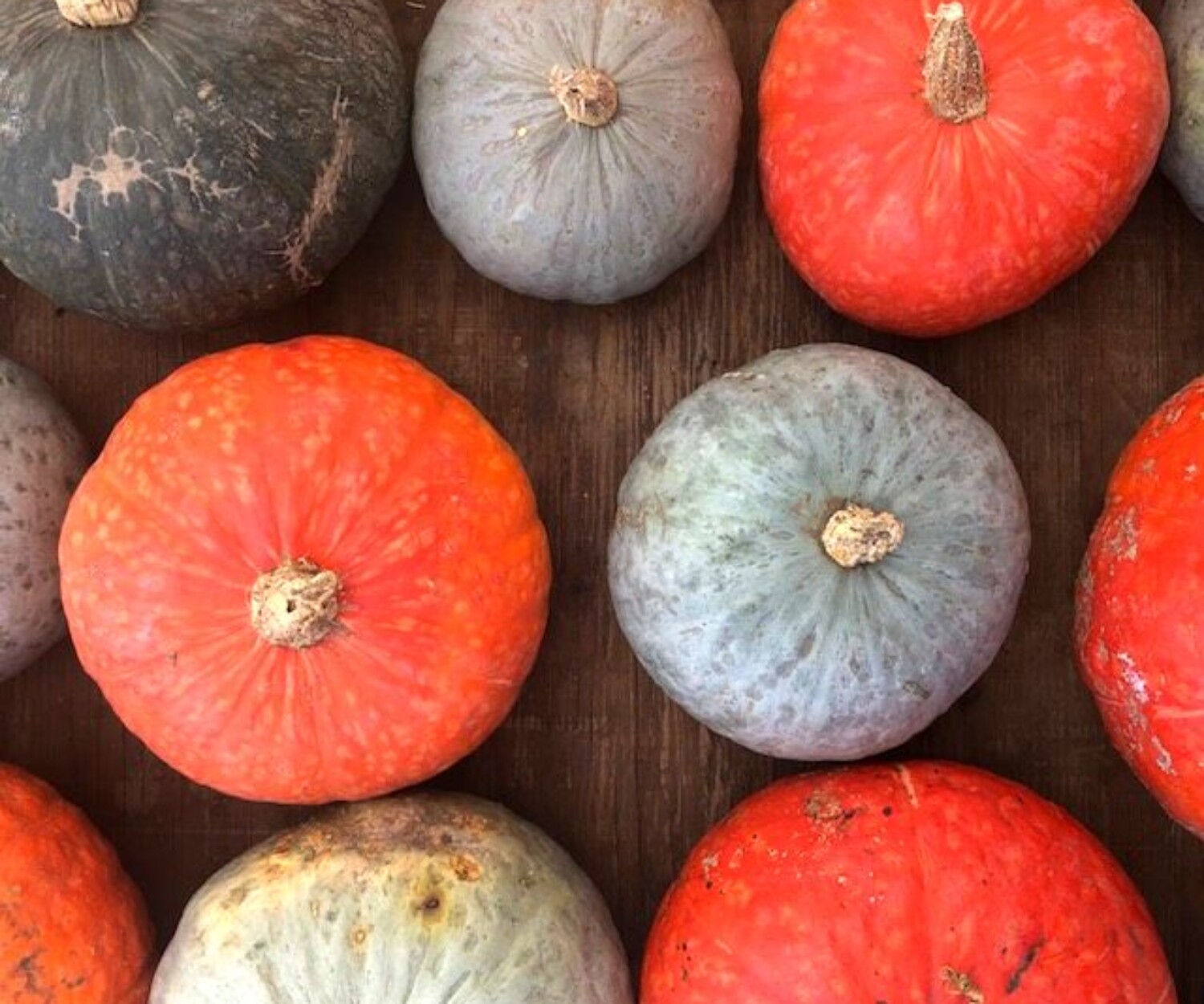 4f262d2b 8e93 4320 8402 34bb2943cd1a