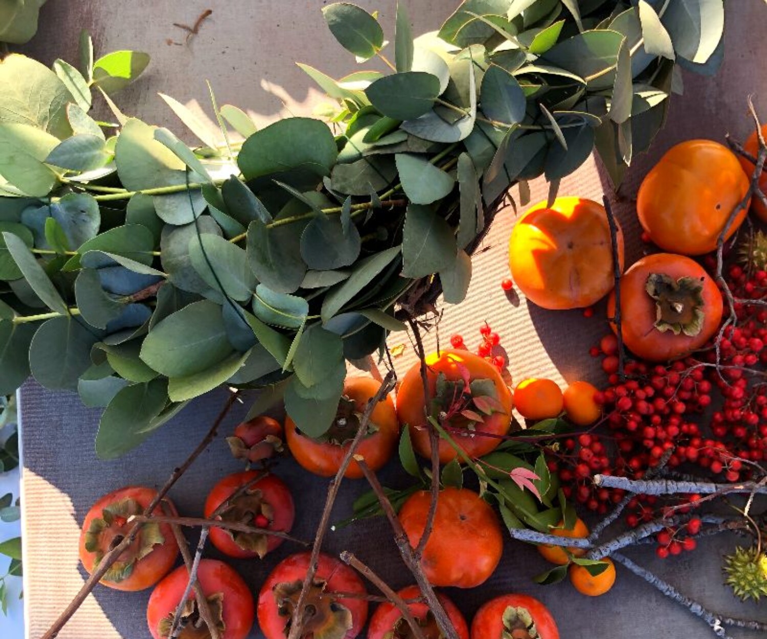 6448c5c9 d948 4d22 b828 cb75ea38e646