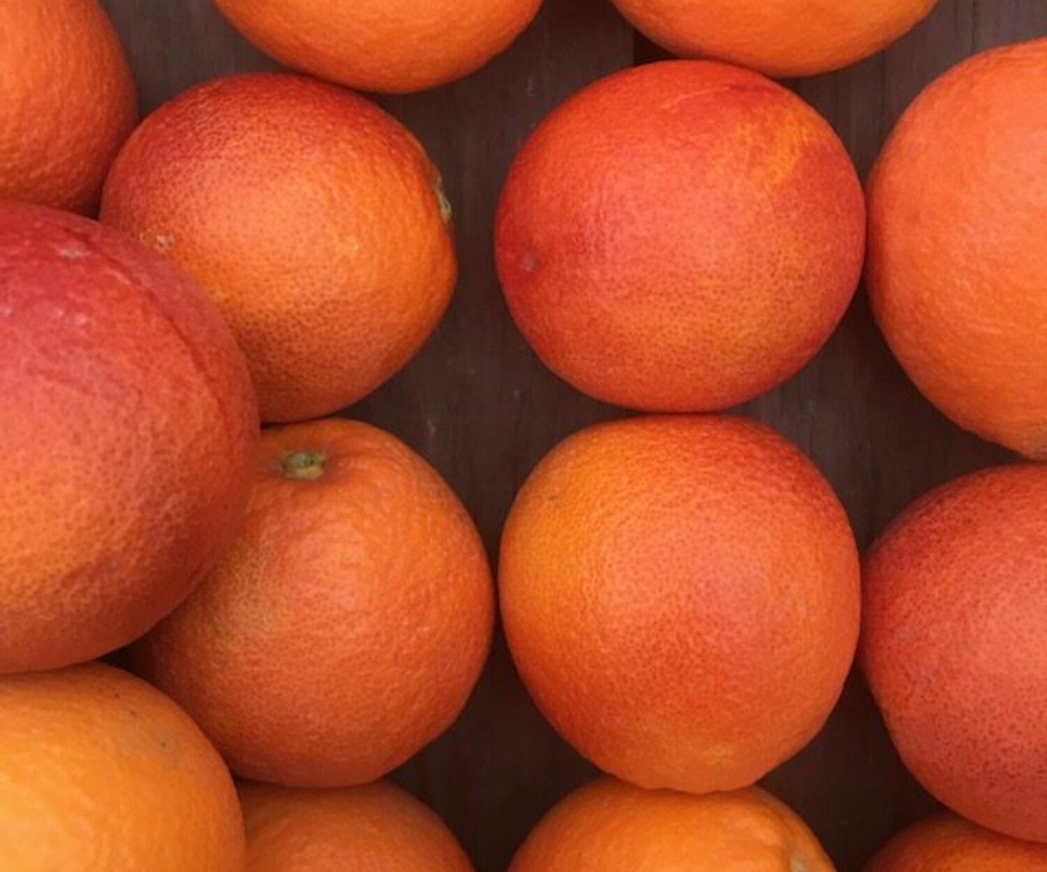 a5ed83a8 81f6 4a32 8f0d 40e238ede094 rotated