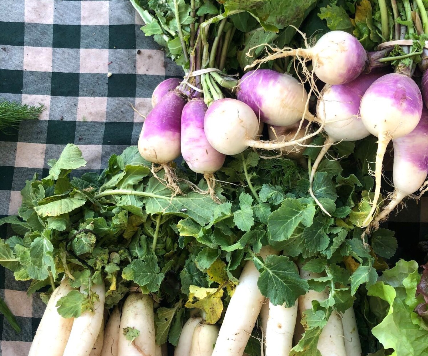 272914d9 f847 4de2 8261 b2d17411c6db