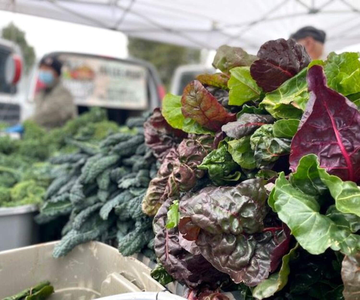 5ce10ec5 e9d9 4fed 9c4e 39520c9376d5