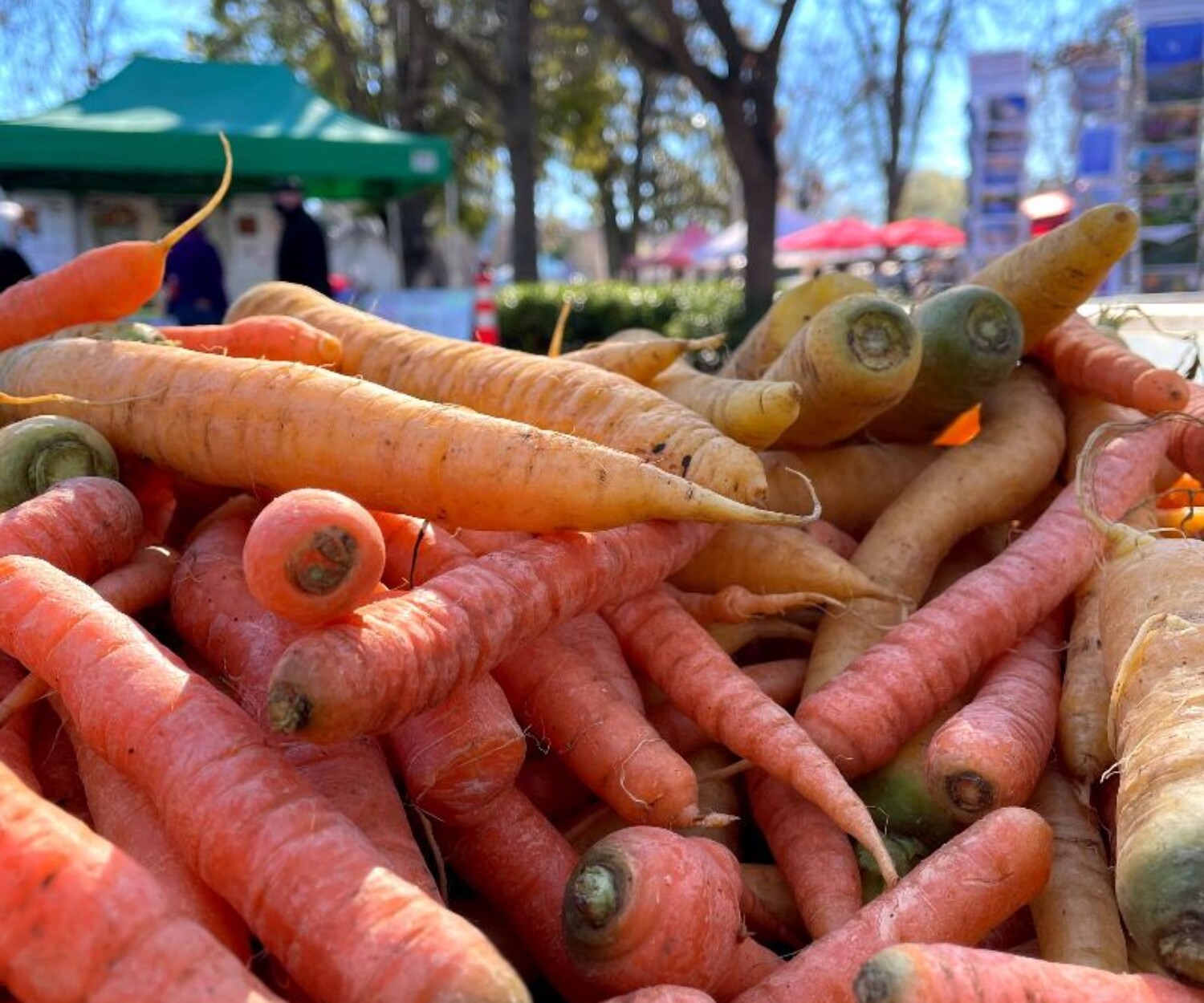 3d3ac075 c5ca 4b69 91a7 5273c27abde9