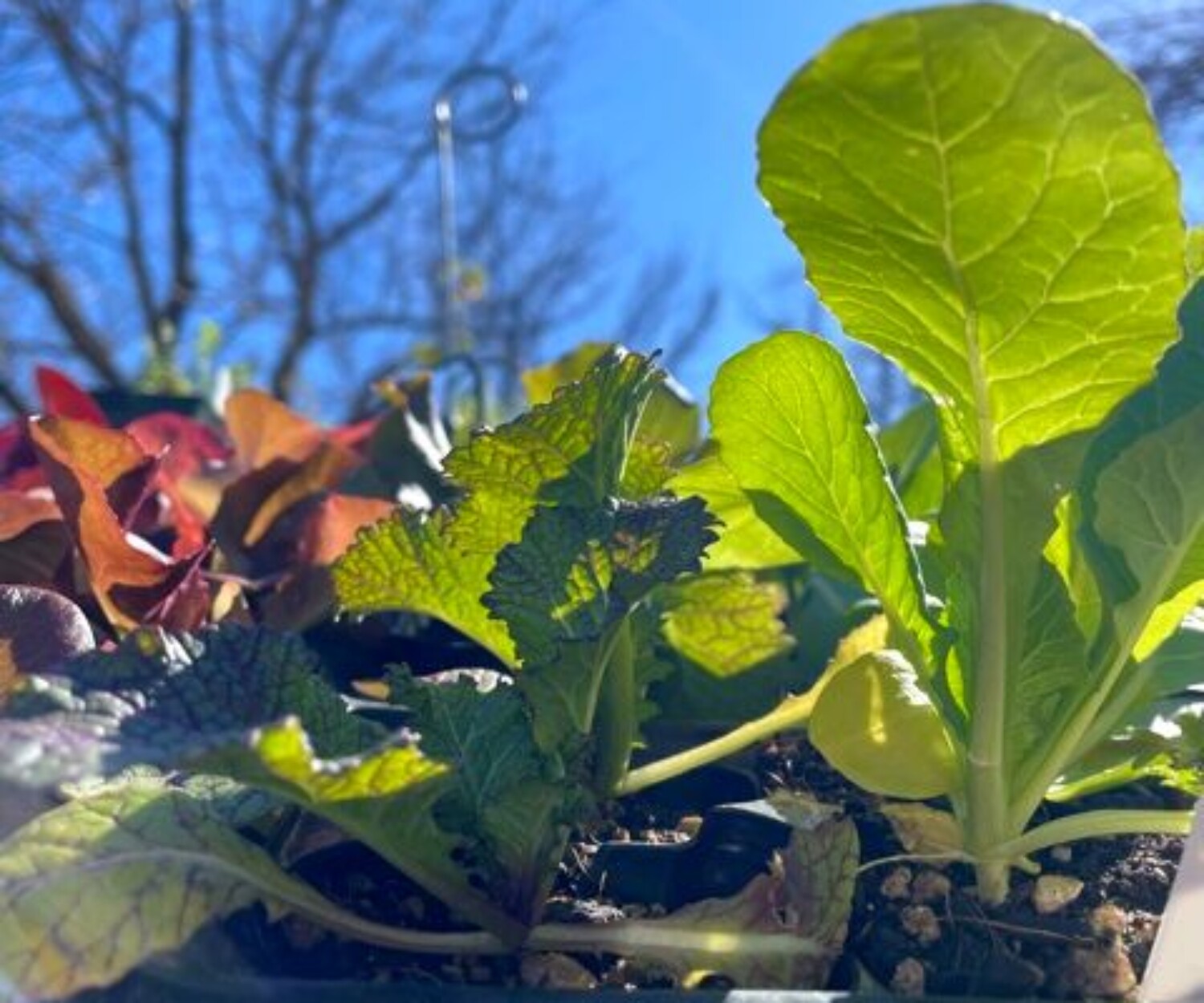 0e85b2dc 8ac1 4f09 8344 aad51e3bbd57