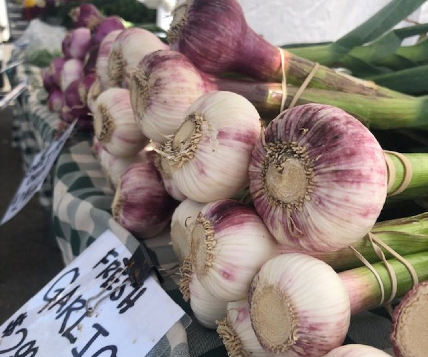 2cea49a8 7ae3 4f66 9f06 b4803731ebaf rotated