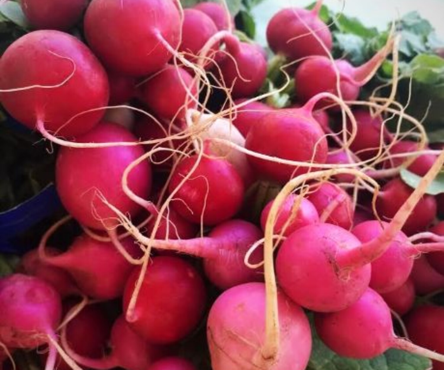 18f5fe35 2dac 4f67 80da 3e21e3527e29