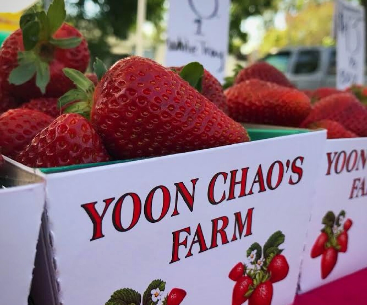 3b27f30a 03a3 48a3 b573 9725406ae278