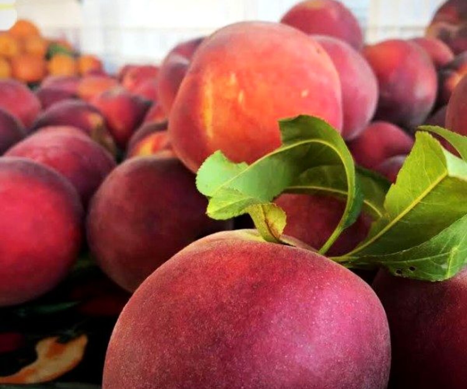 54019df1 975f e58a 7322 fd1e586765f1