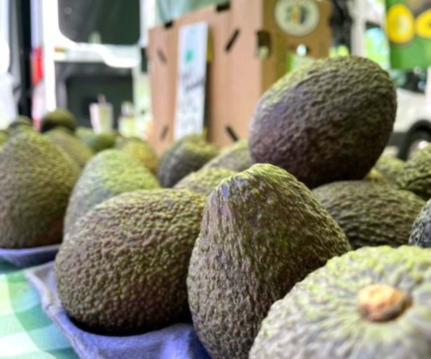 b9876ecb 391d 9892 715f da0ab3be5dad