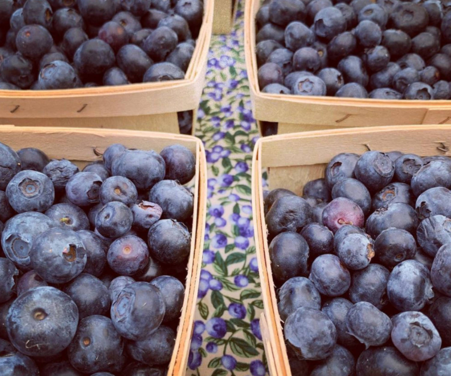 55e8b89d 5db7 93d5 65f4 0380f5b64d00