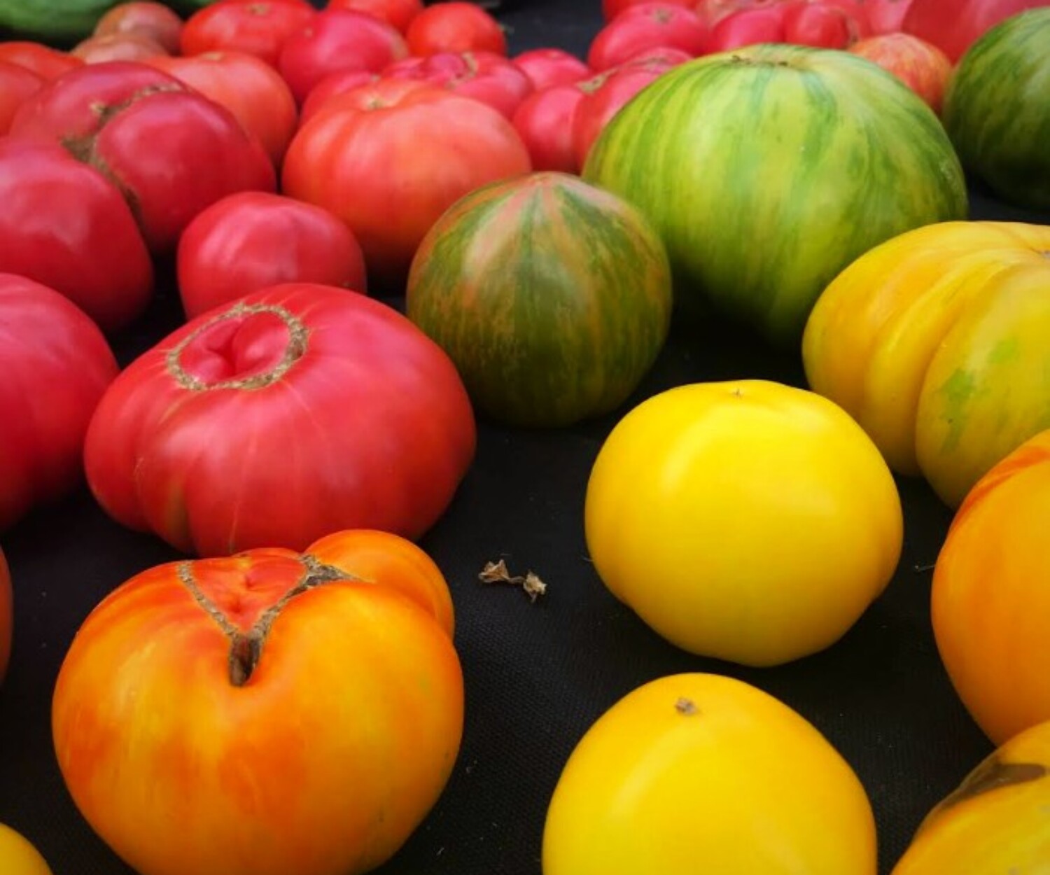 a9241276 4b3d 4204 b232 25acfbe356ee