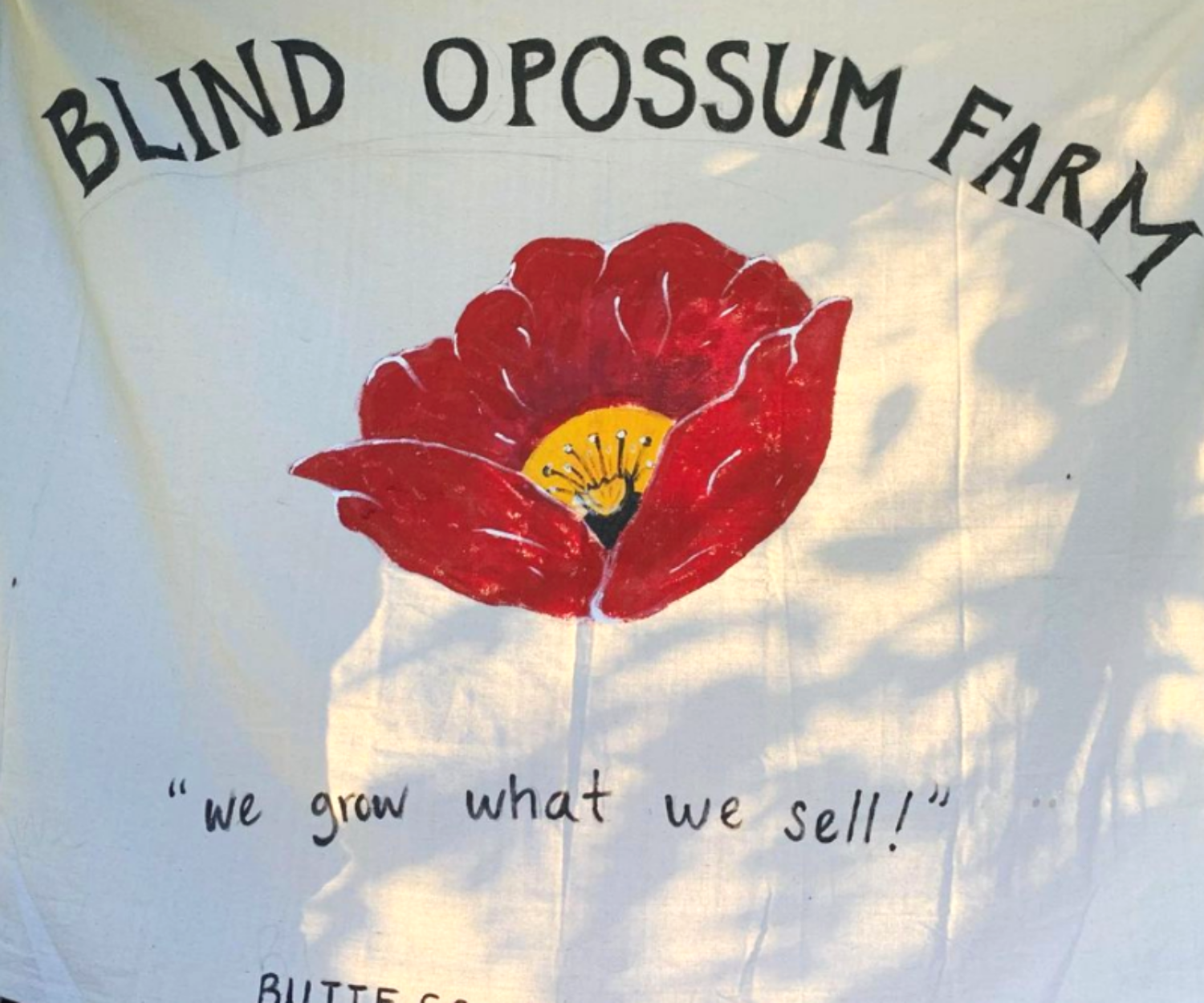 c1a43170 f4a3 0f80 f7e5 ace2495fbc86