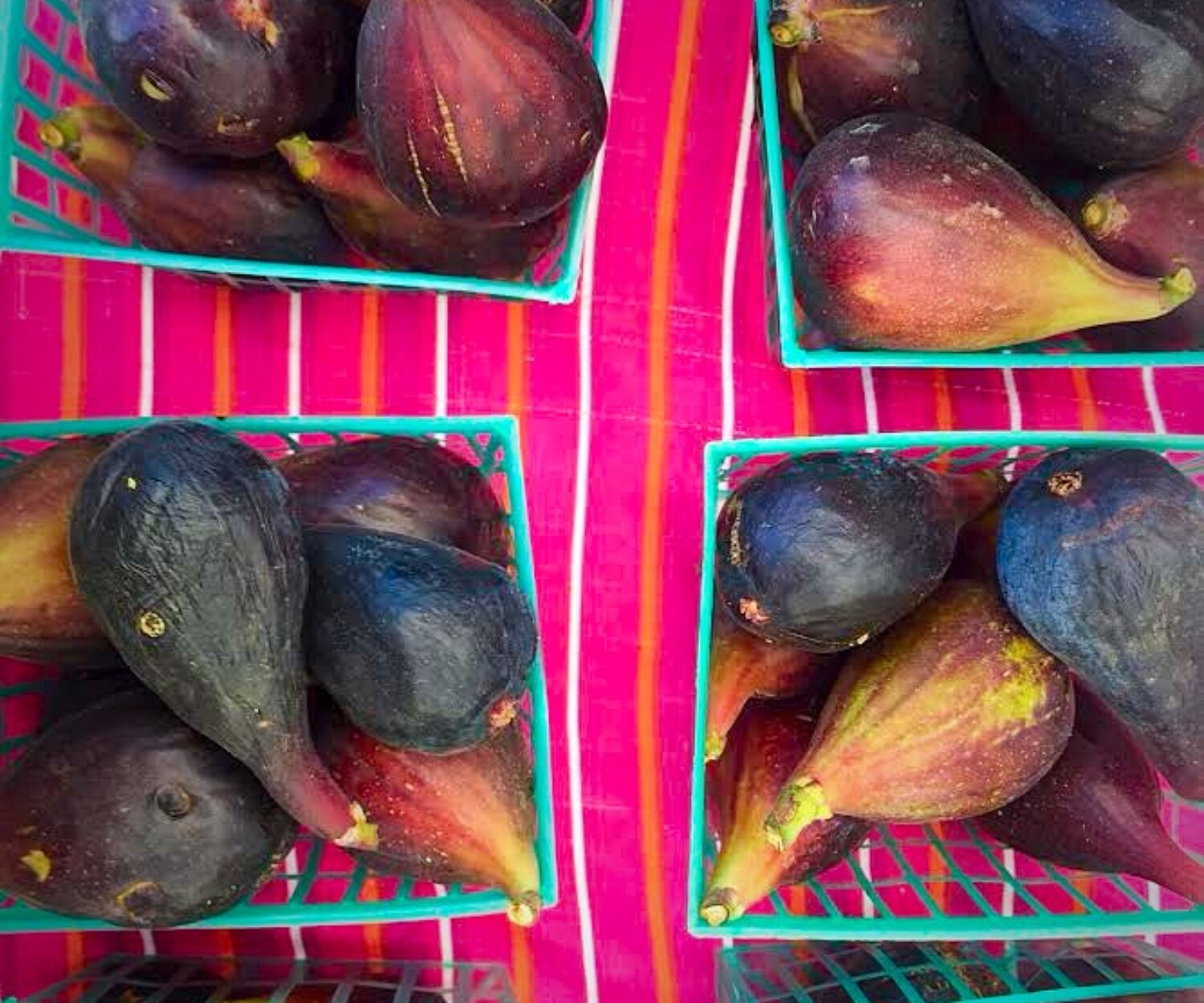 fd9ffa47 dc99 e857 c26d 09b144707d34