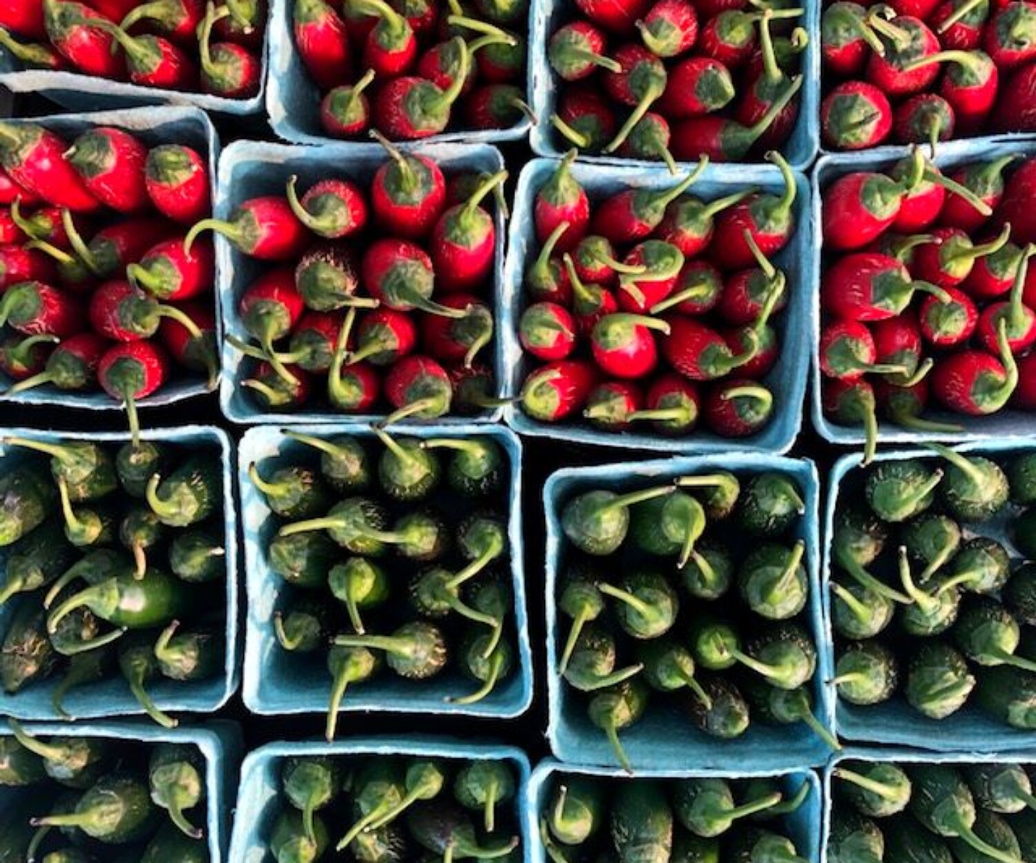 be8750cf cedb 473e bc0c 8b2848667699