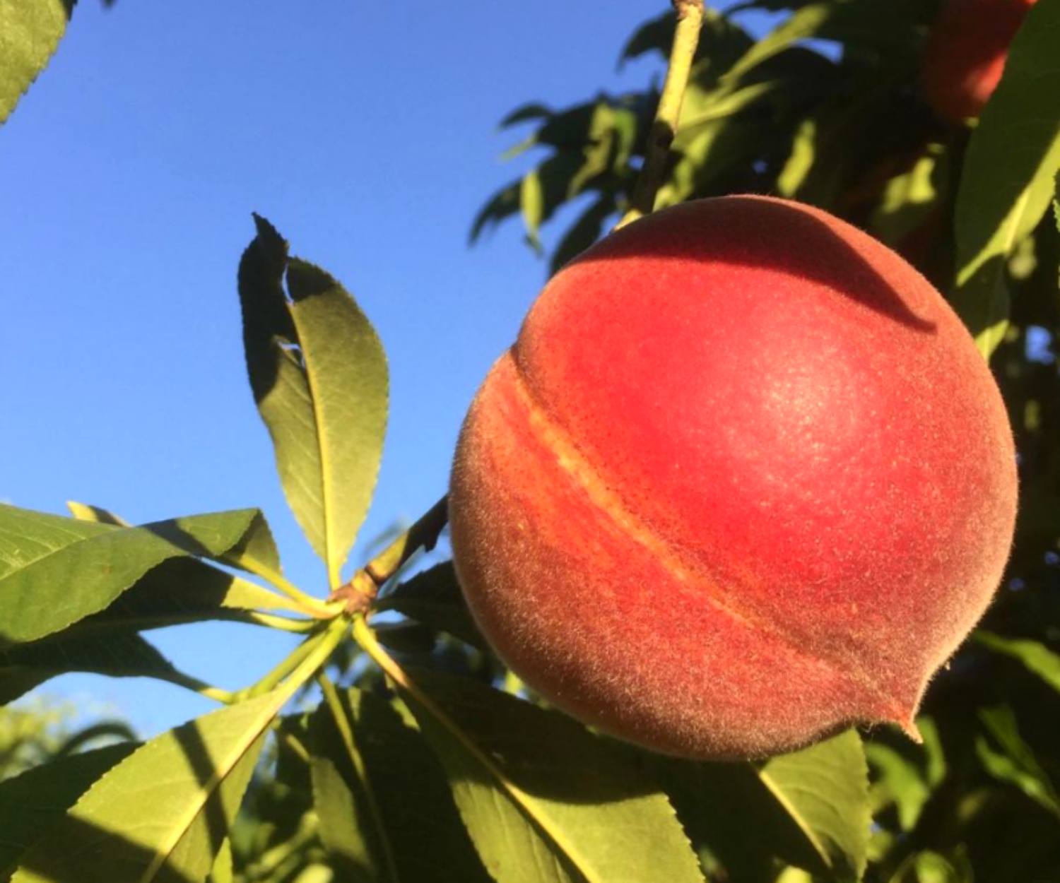 efaf88ef a2ab 40ff fbc5 43a4a75672a3