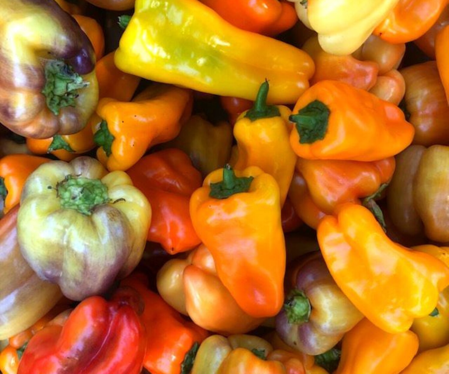 5884718d 49b6 352e bf18 4cca6d210955