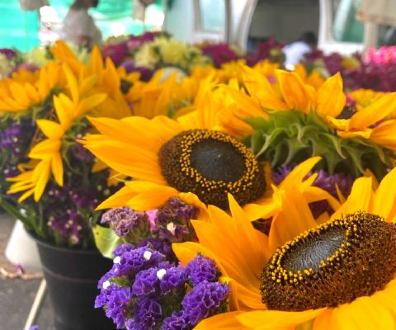 ef0e645c 7b4d 8789 71d5 5a7b5a1e8356