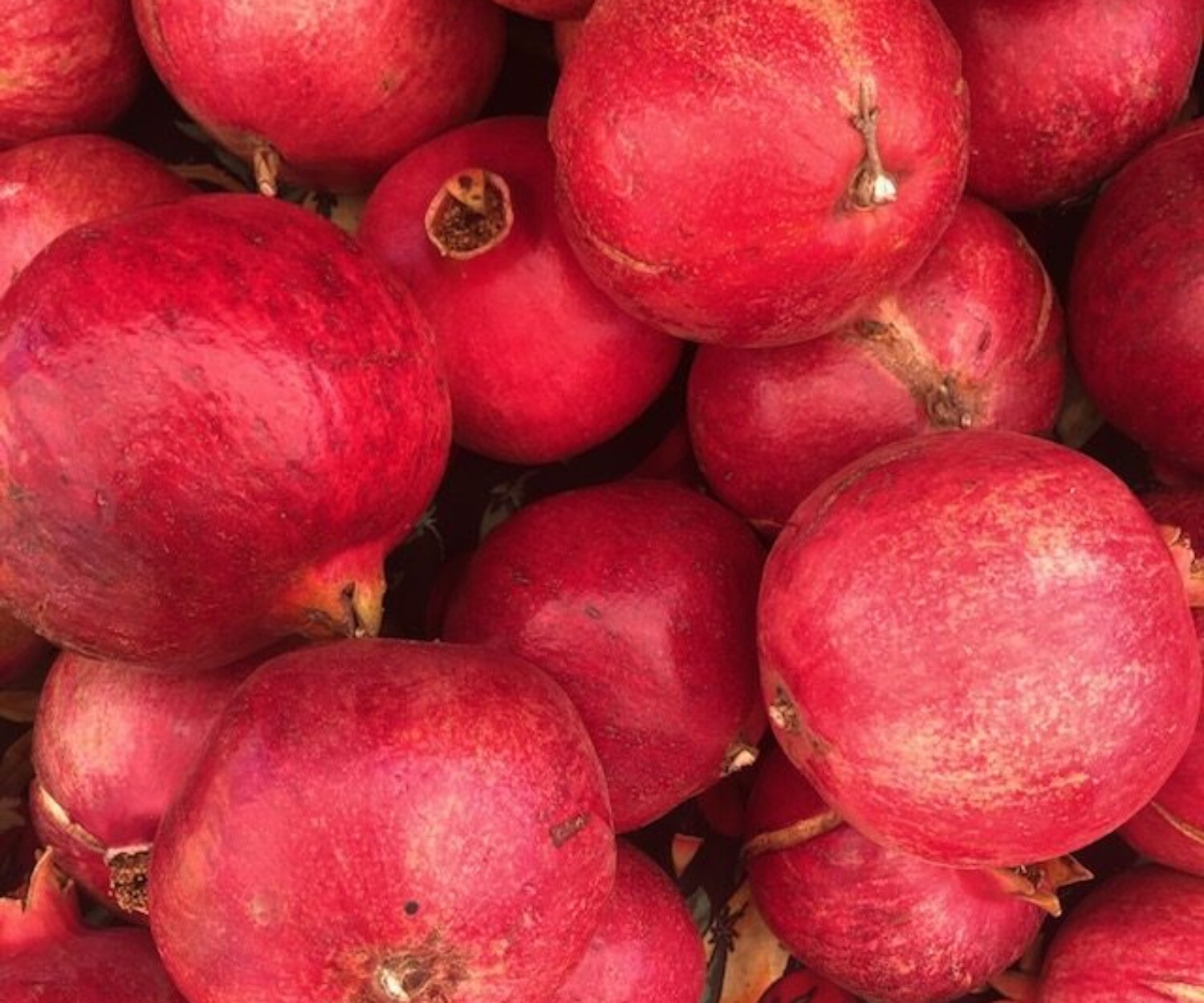 1d6775df b00c 9d98 c2f7 6258309f0c2b rotated