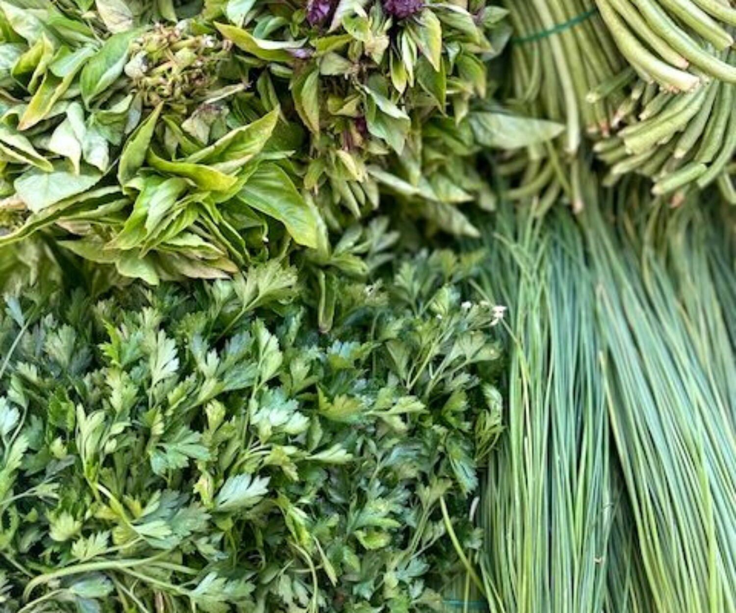 77fc23f9 4a55 c4fc 7364 b8f6173d5507