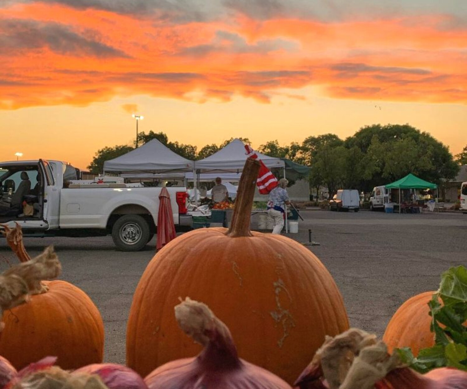 82c4b83e 1352 b62a 29fd 4ee3039049a0