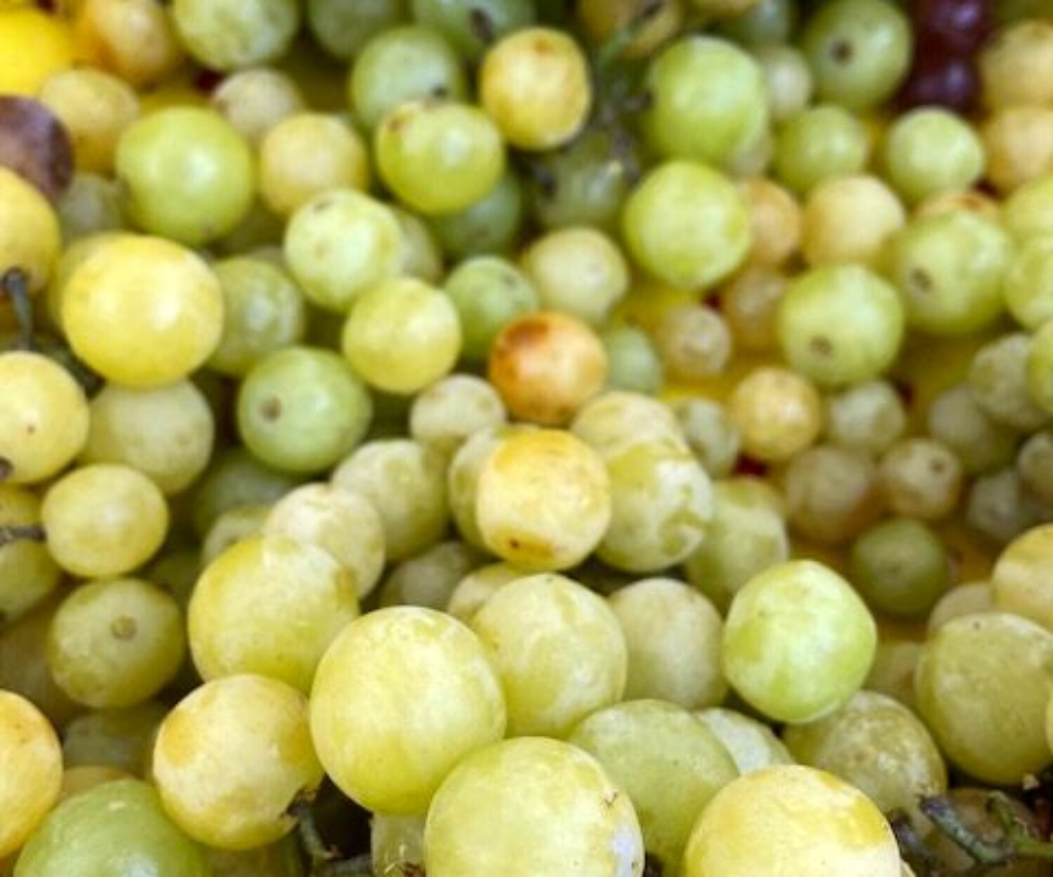 a1a98512 6b13 6654 4796 d5fd853c6dfa